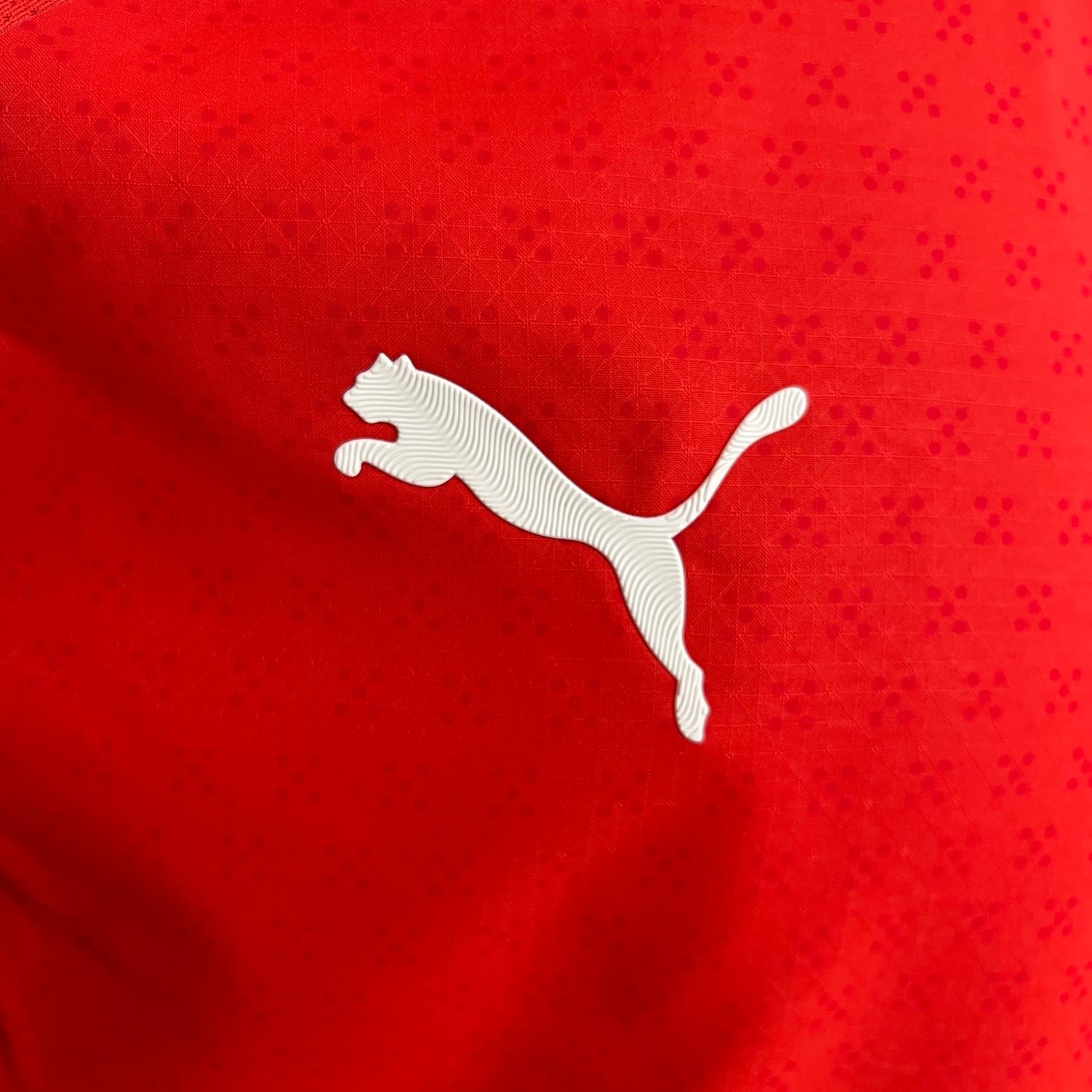 Portugal 2025 Home Player Version Man Jersey