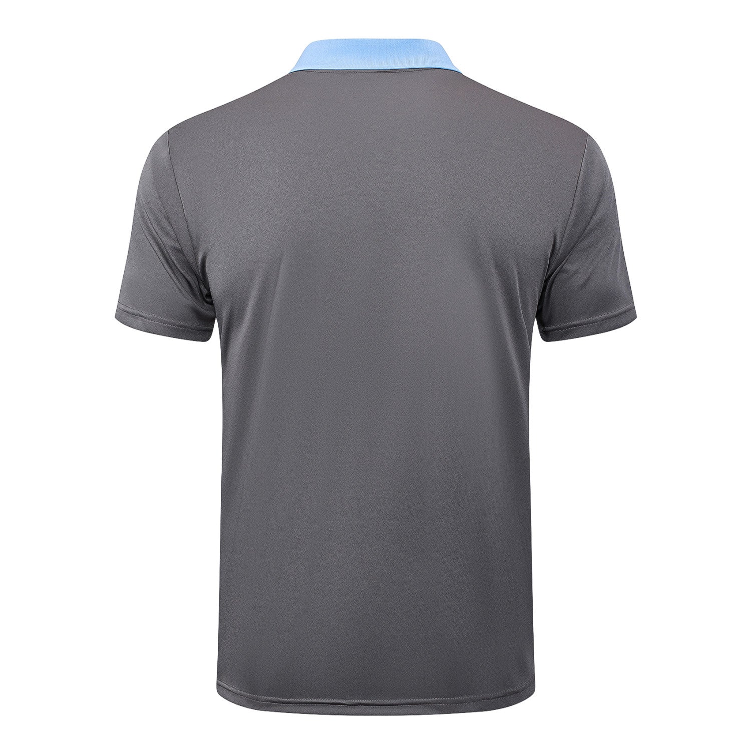 Tottenham Hotspur POLO Jersey 24/25