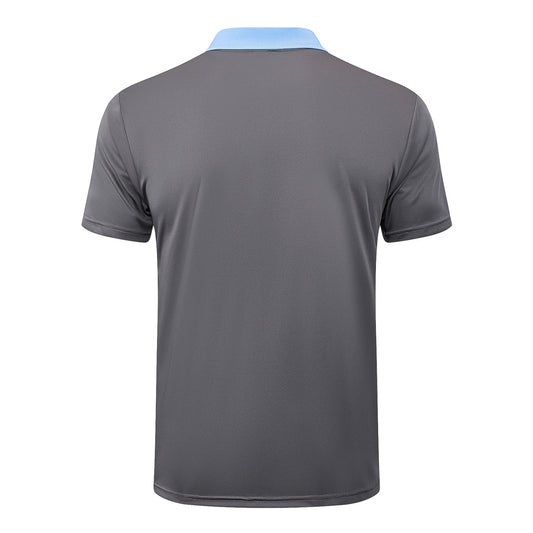 Tottenham Hotspur POLO Jersey 24/25