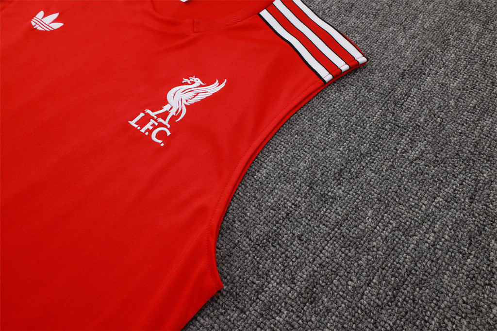 Liverpool Training Jersey 25/26